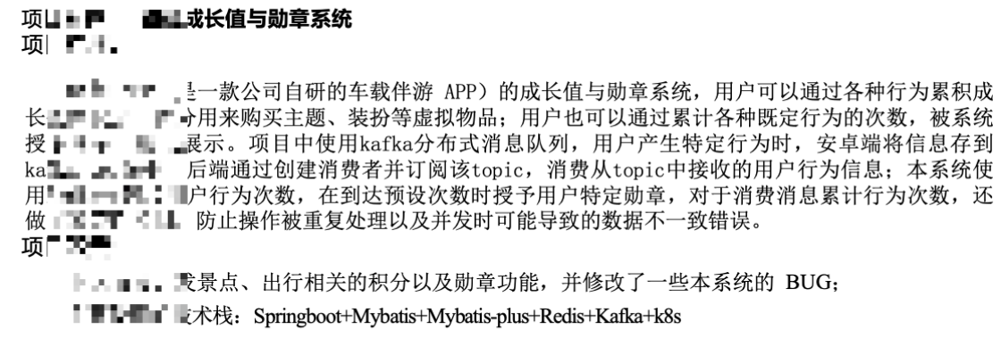 很差的项目经历