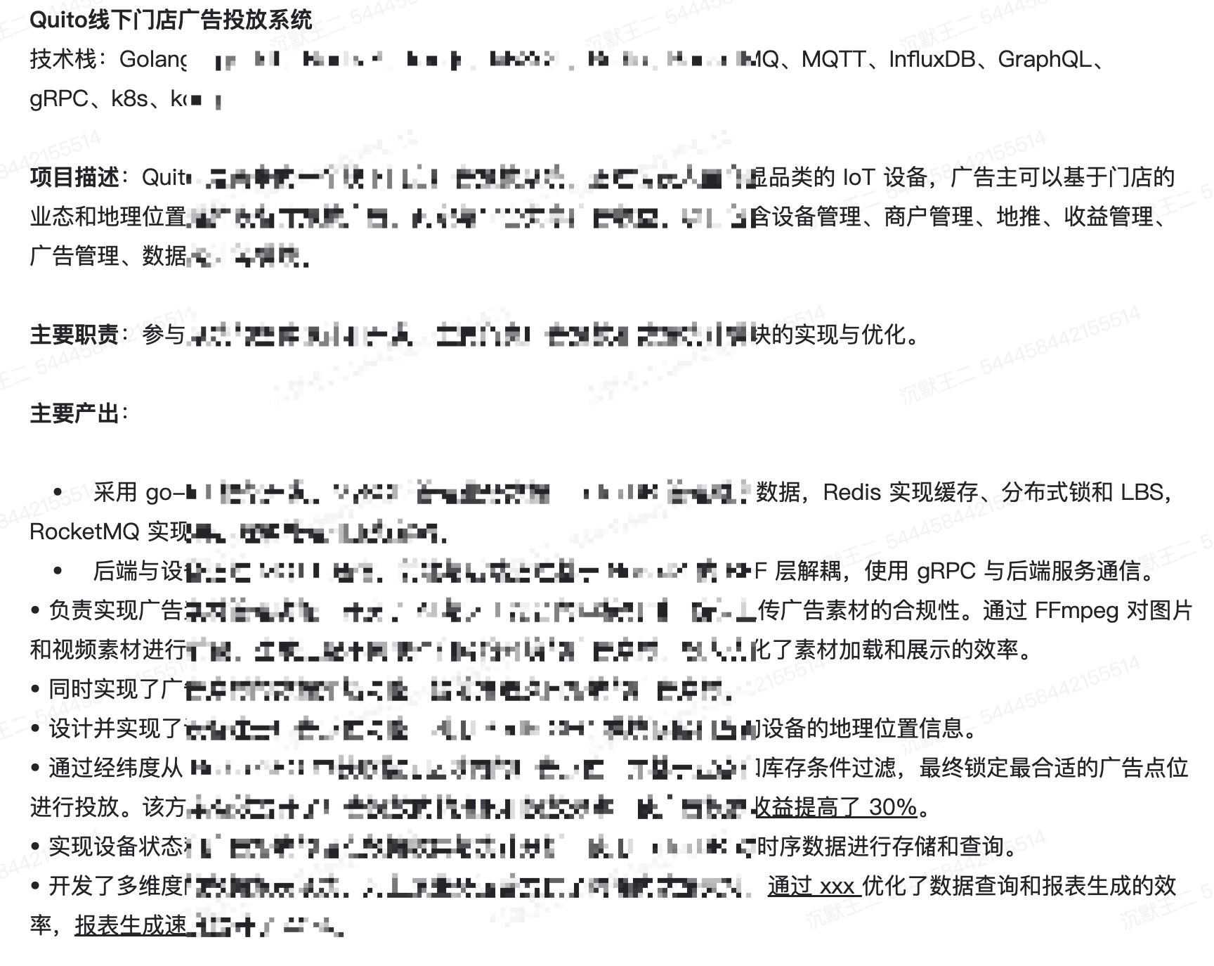 项目经历 2：