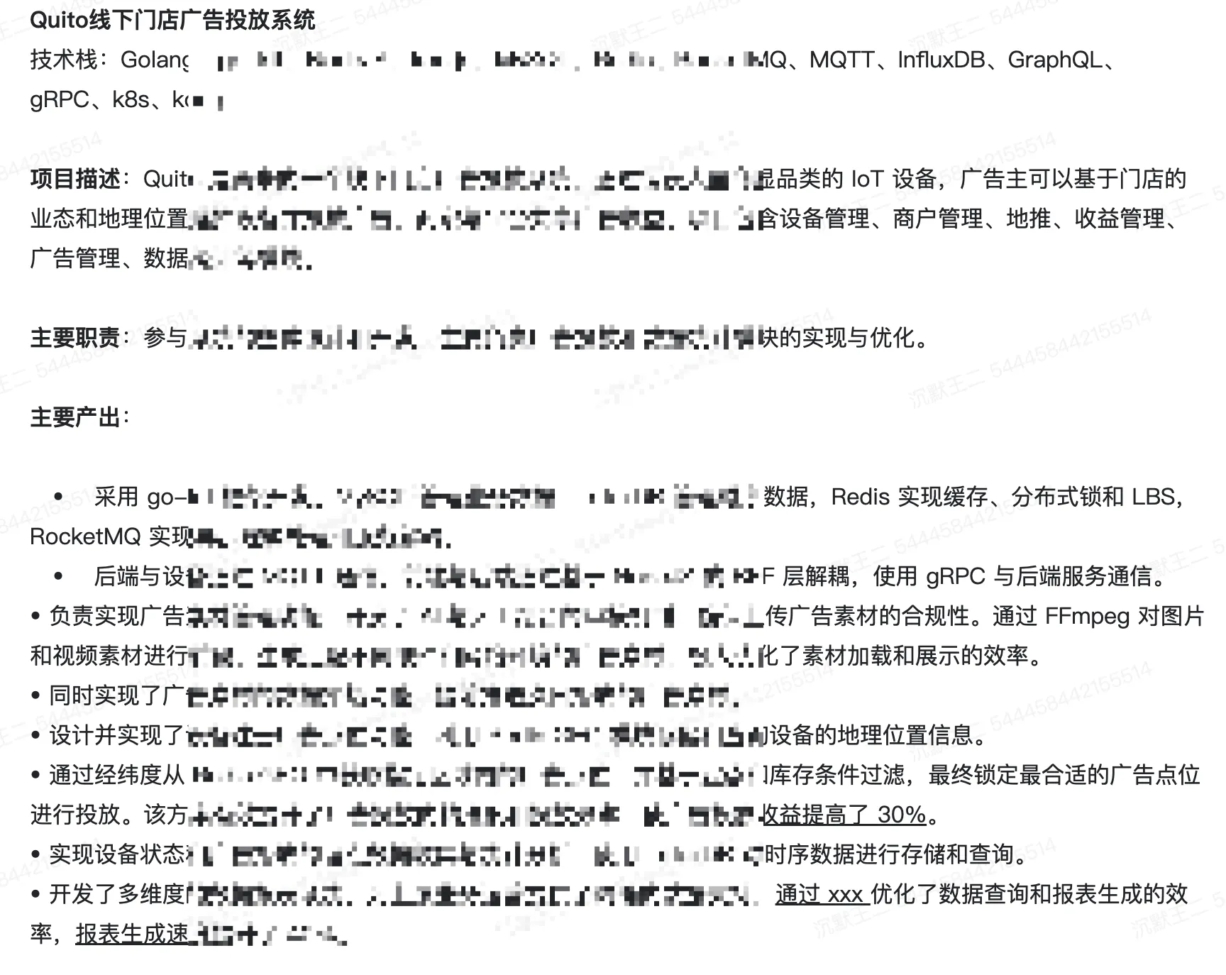 项目经历 2：