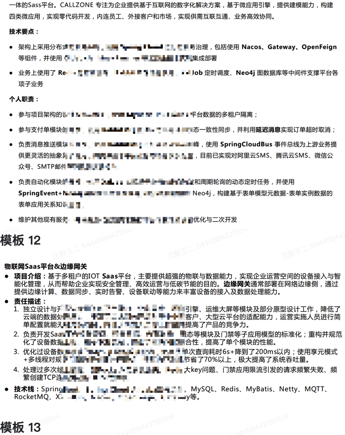 项目经历修改后的效果