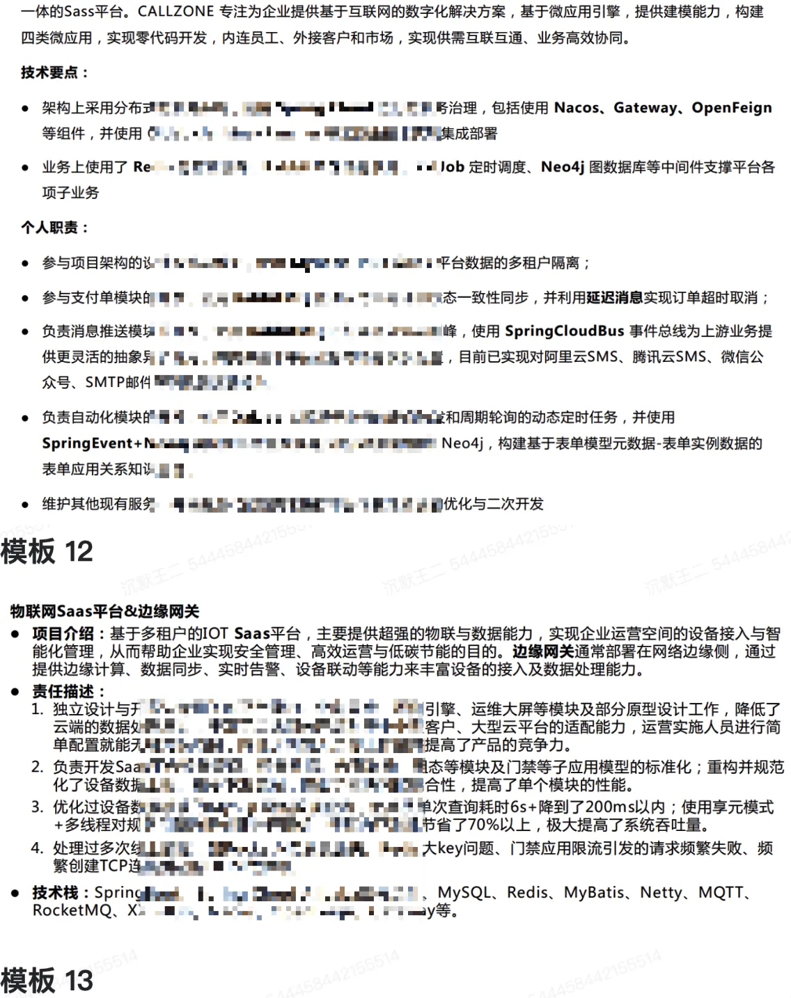 项目经历修改后的效果