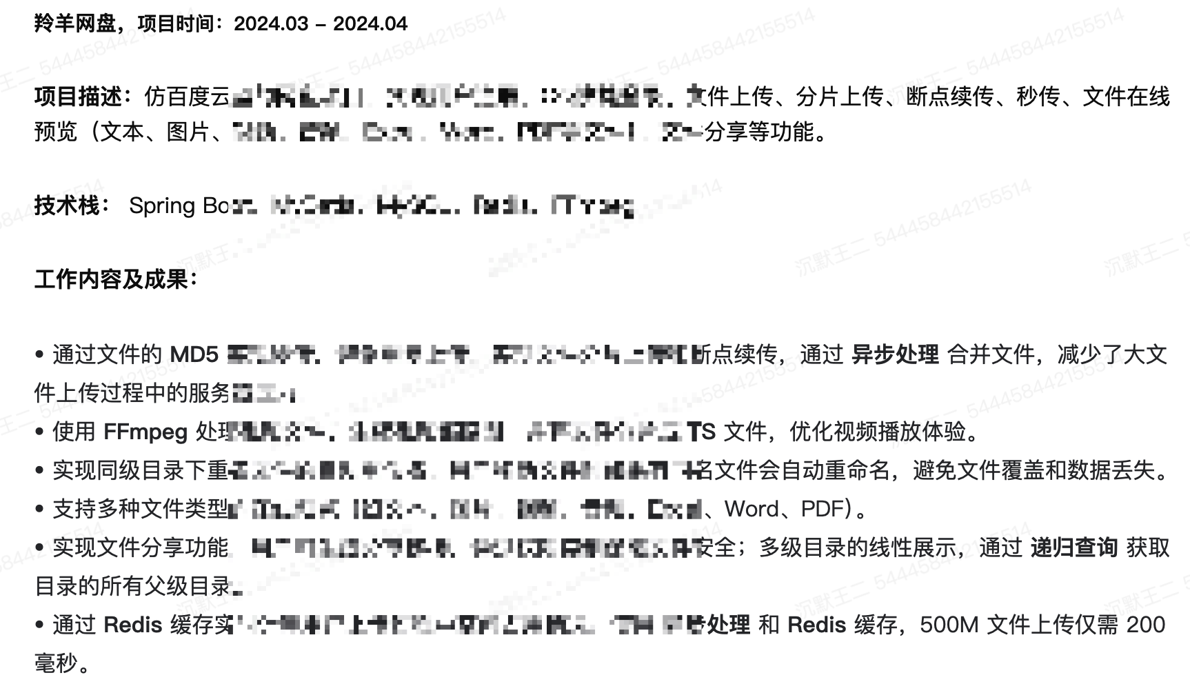 项目经历 4：