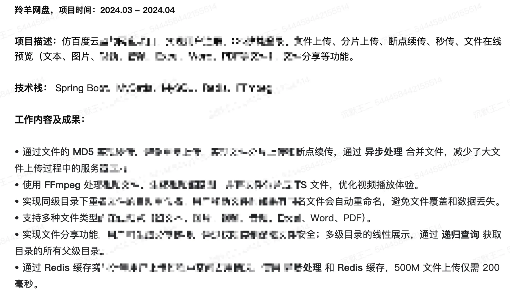 项目经历 4：