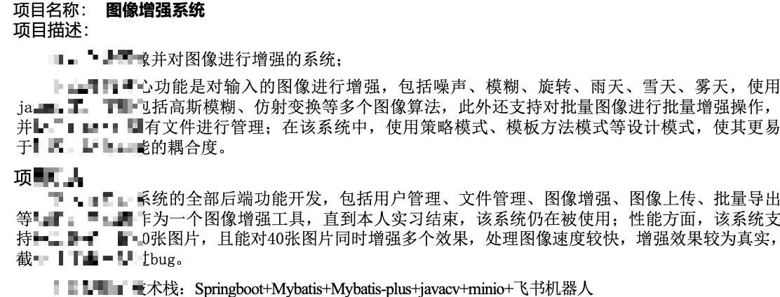 项目经历全是业务