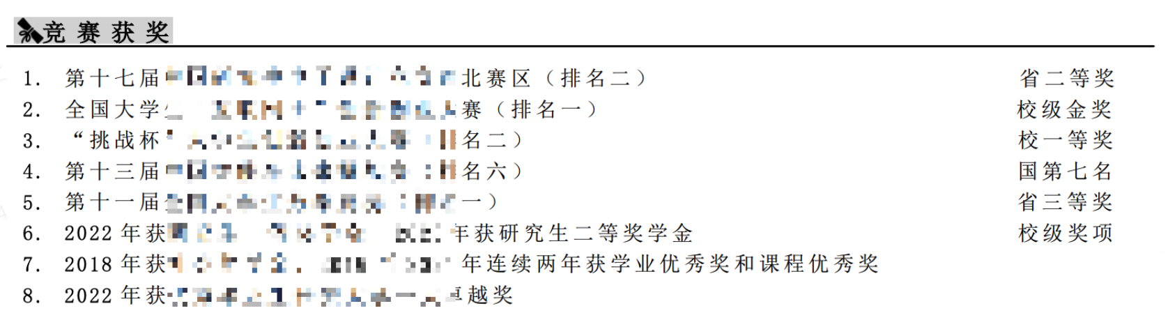 荣誉奖项 1：
