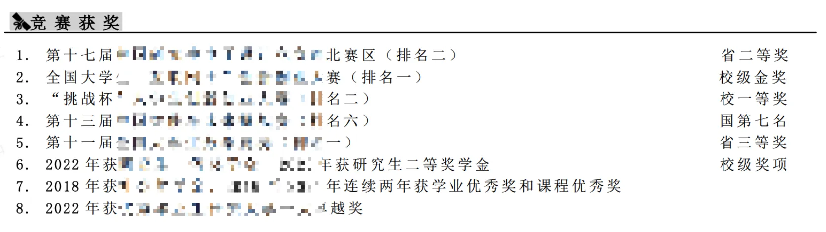 荣誉奖项 1：