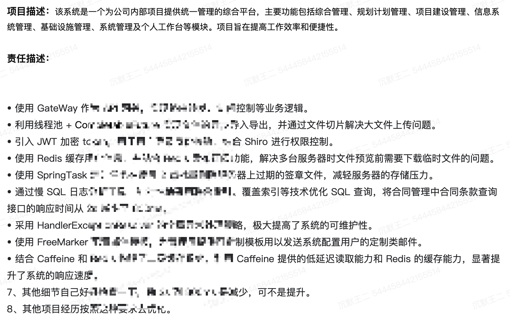 项目经历 3：