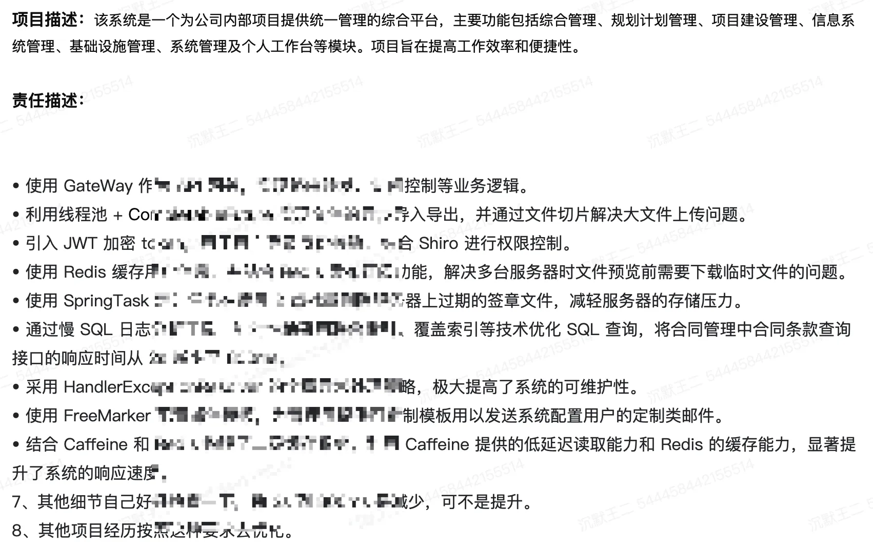项目经历 3：