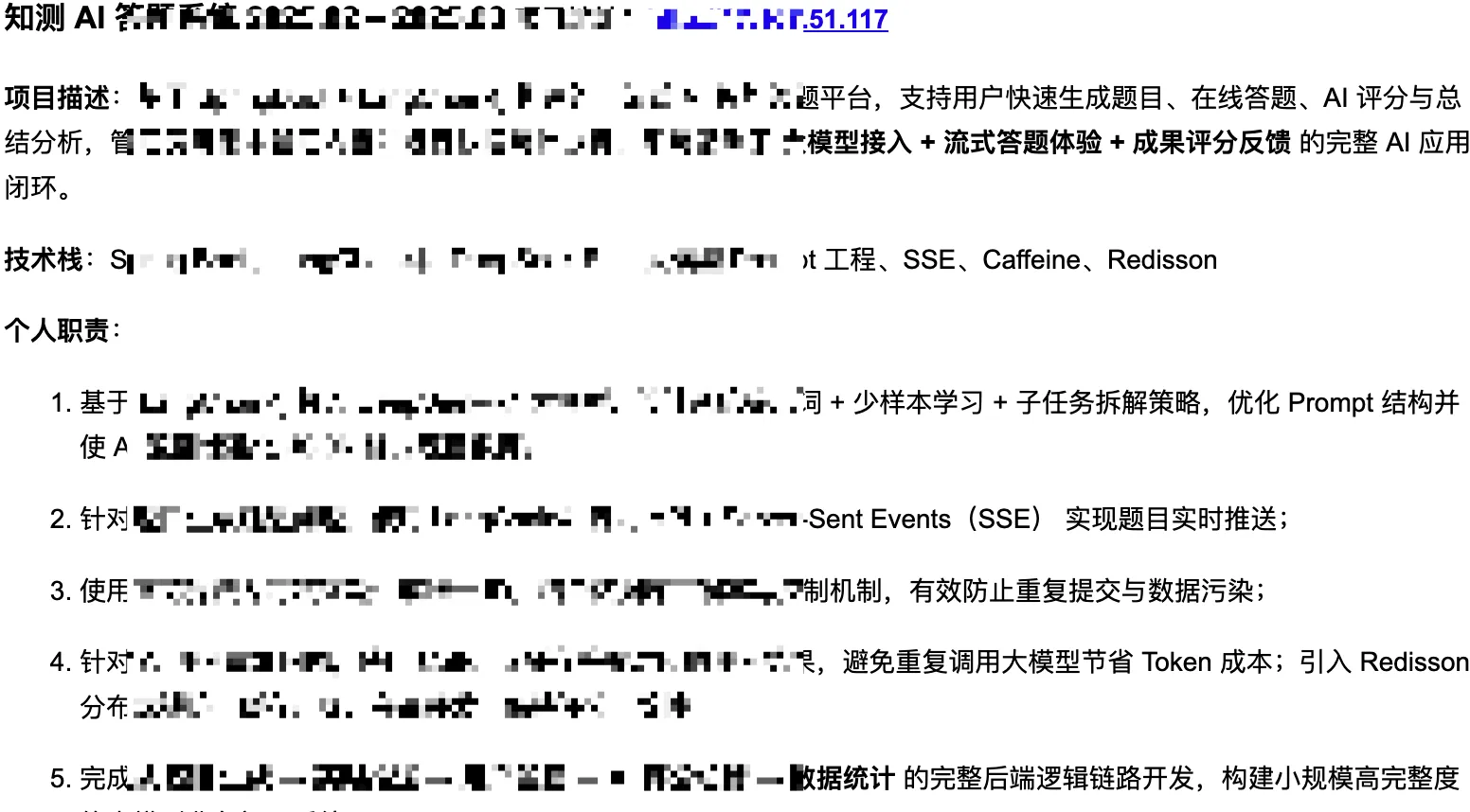 AI 类项目经历