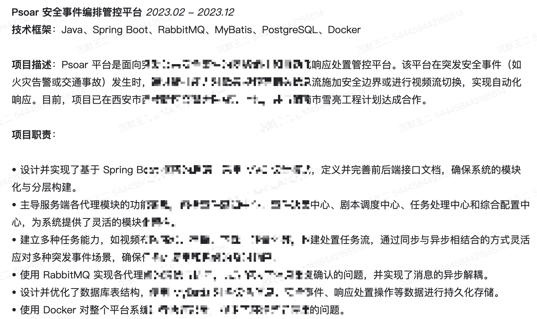 项目经历 1：