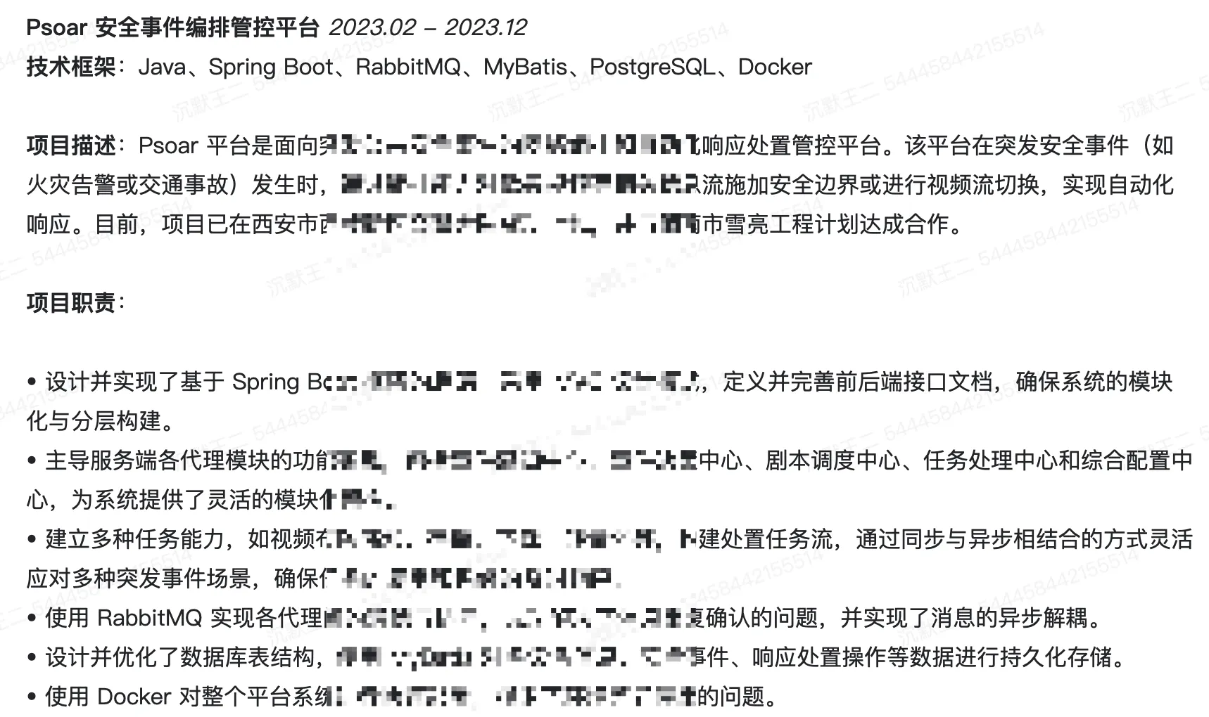 项目经历 1：