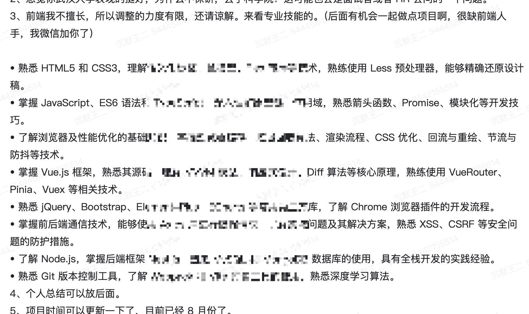 专业技能 2（前端）：