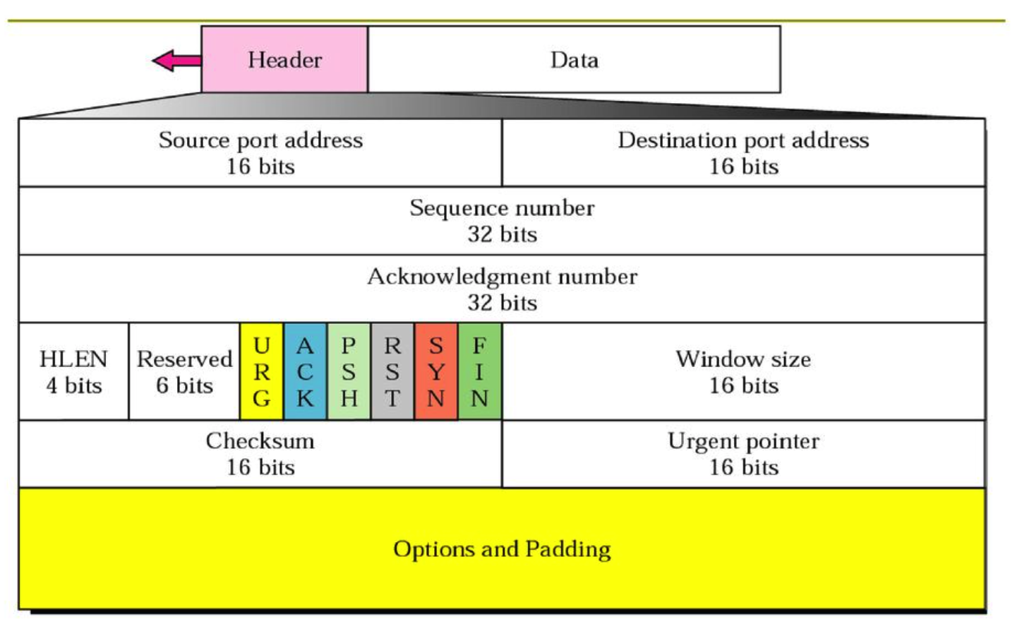 截图来自sideplayer：TCP 报文