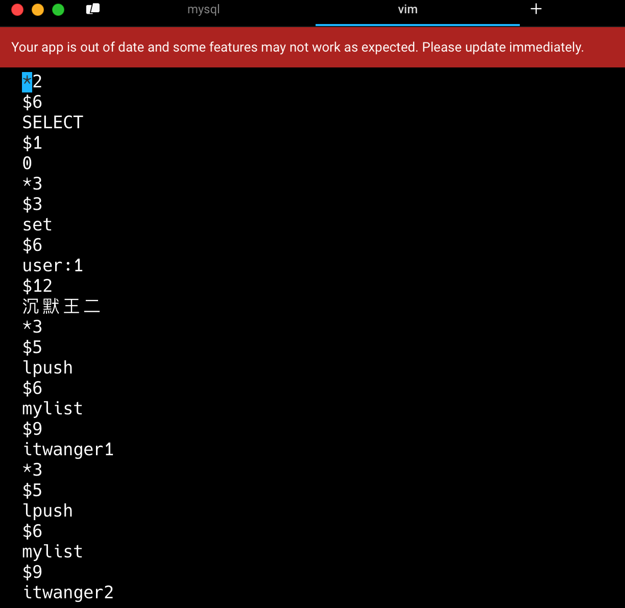 二哥的Java 进阶之路：AOF文件内容格式