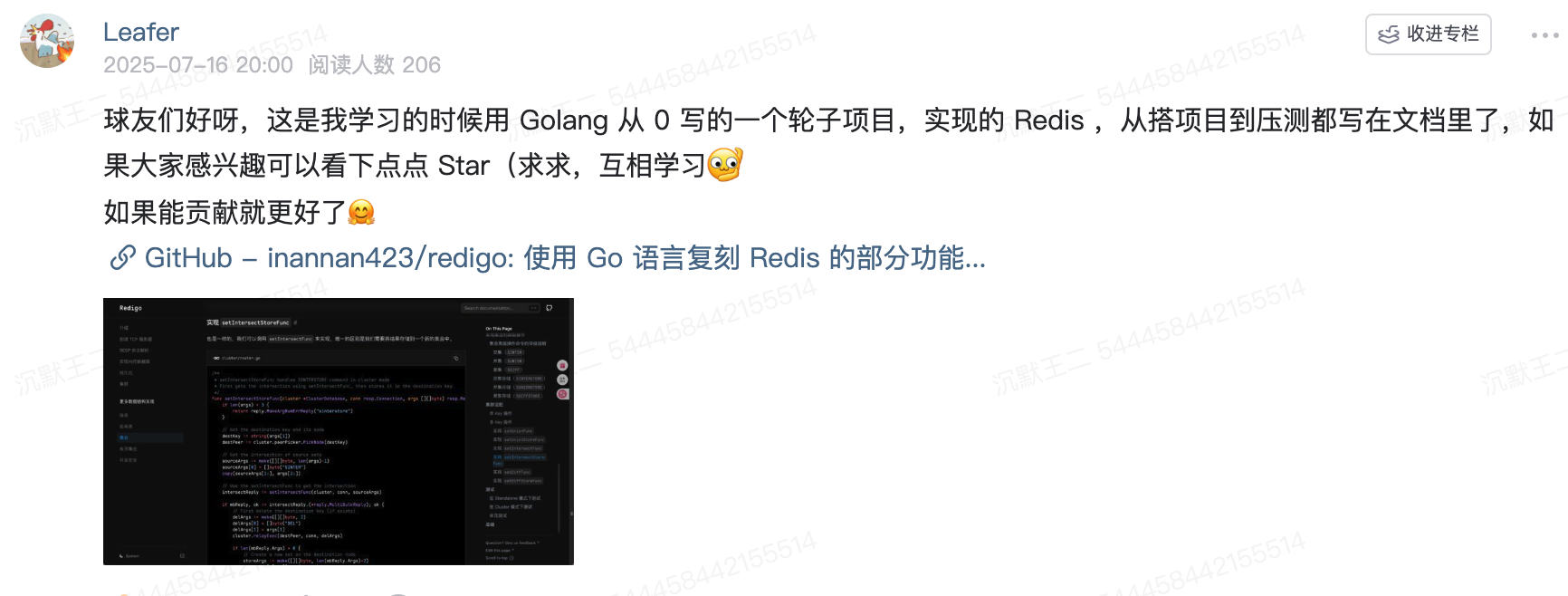 手写 Redis 的球友