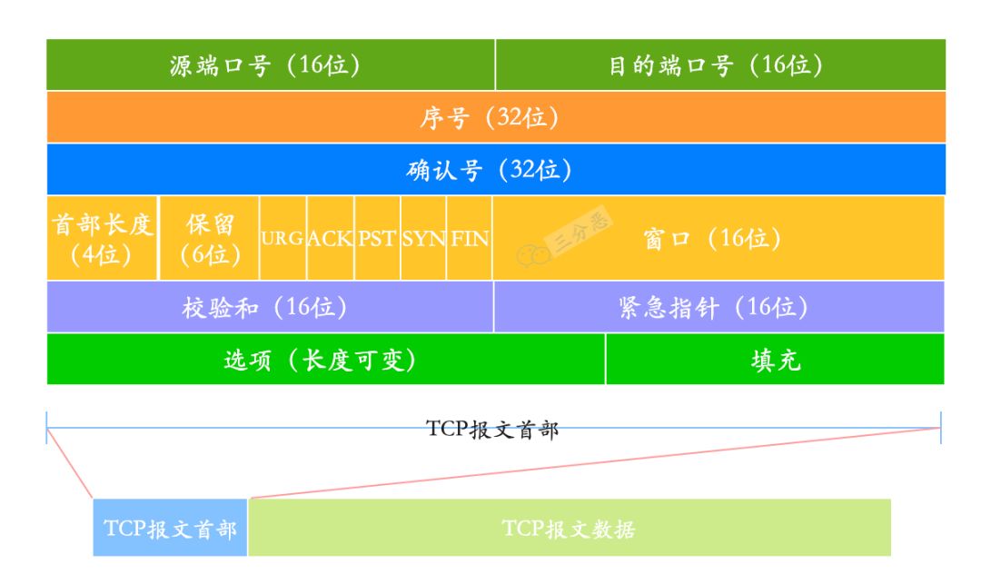三分恶面渣逆袭：TCP 报文头部的格式