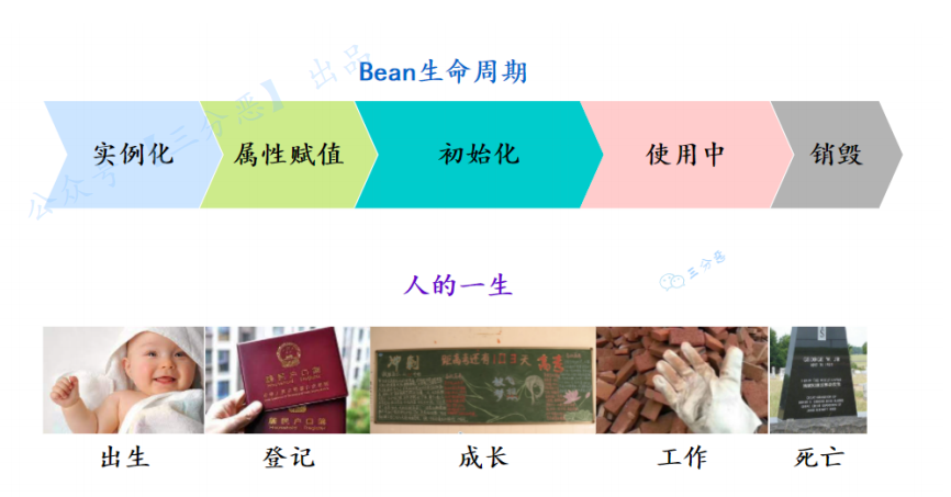 三分恶面渣逆袭:bean 的一生